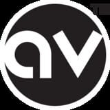 Amusement Vision company logo