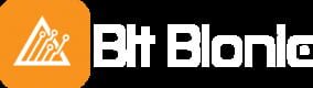 Bit Bionic LLC