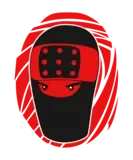 Team Ninja Thumbs logo