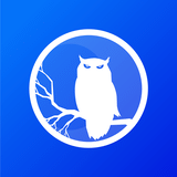 Bigmoon Entertainment logo