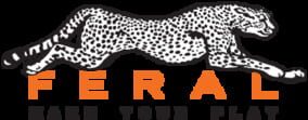 Feral Interactive company logo