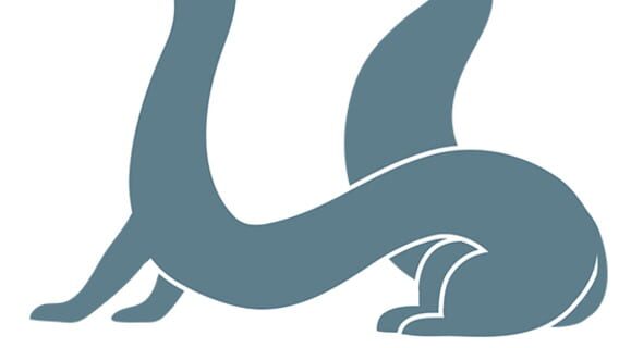Finji logo