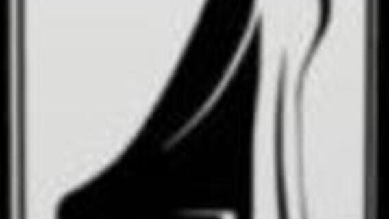 Wings Simulation GmbH logo