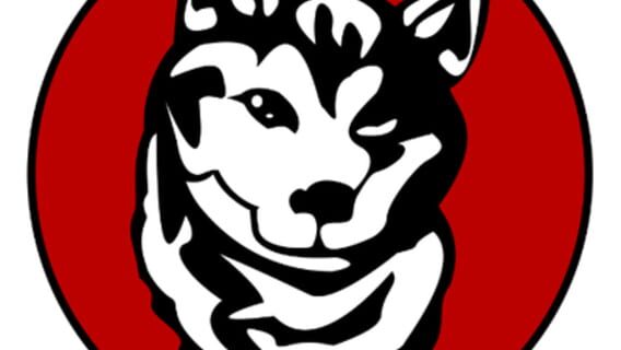 LRDGames, Inc. logo
