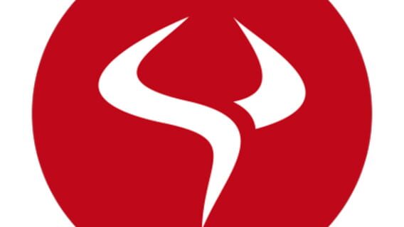 Tiny Bull Studios logo
