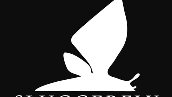 Sluggerfly logo