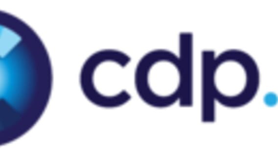 cdp.pl logo