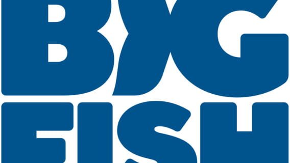 Big Fish Games logo
