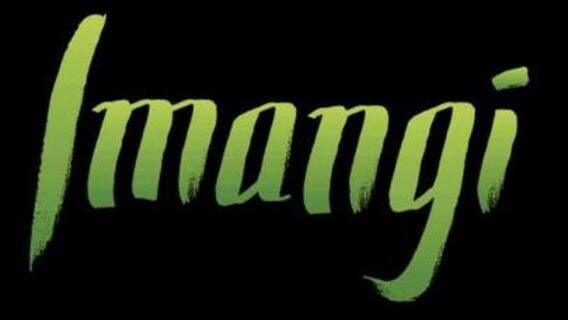 Imangi Studios logo