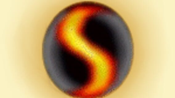 Software Dynamics logo