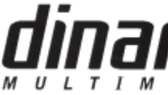 Dinamic Multimedia logo
