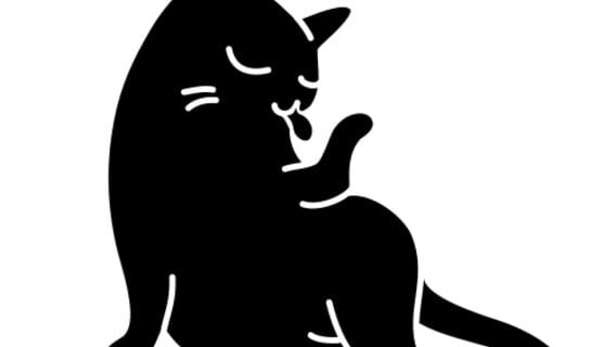 Pandita Studio logo
