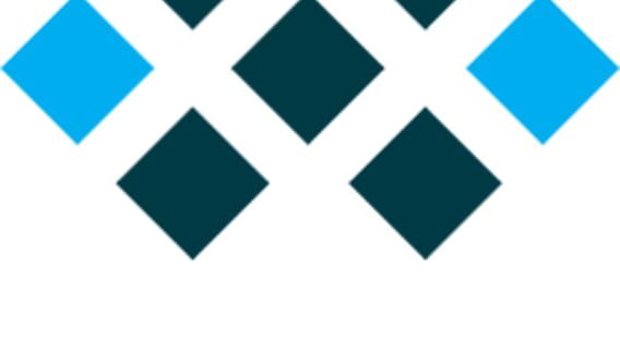 Nixxes Software logo