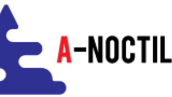 Noctiluca logo