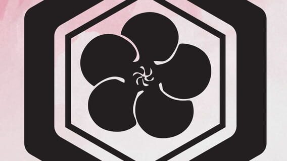 Deevs logo