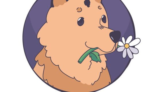 Daisy Games logo