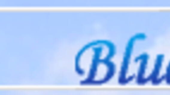 BlueMica logo