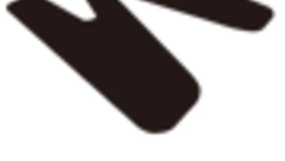 Werk logo