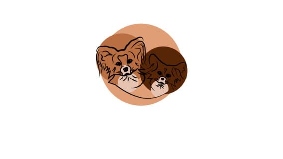 Big Little Bears logo