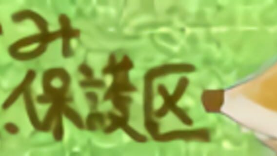 Masakami Nature Reserve logo