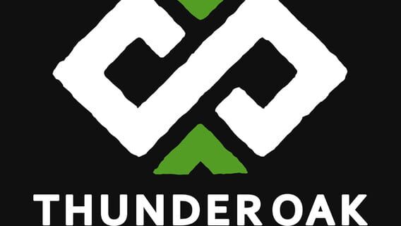 Thunderoak Interactive logo