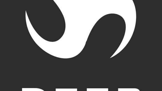 Deep Silver logo