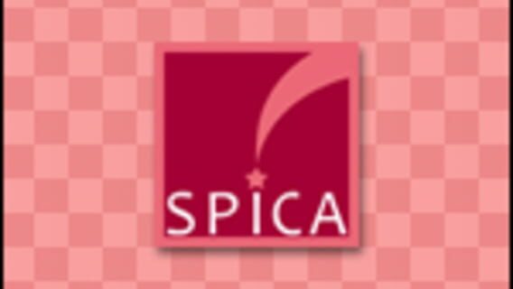 Spica logo