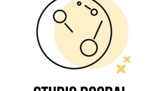 Studio Doodal logo