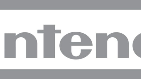 Nintendo Entertainment Analysis & Development logo