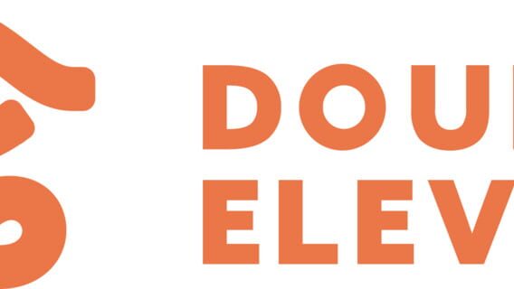 Double Eleven logo