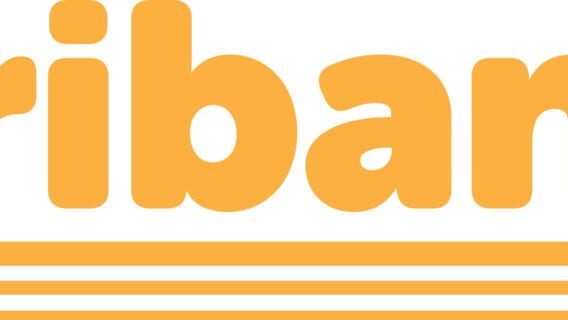 Triband logo