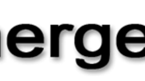 Synergenix Interactive logo