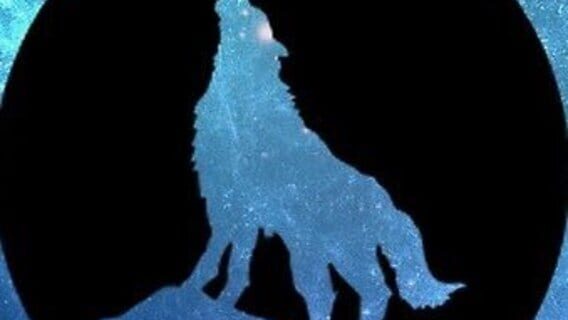 Arctic Wolf Studios logo