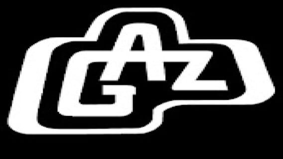 alevgor logo