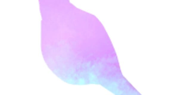 4noki logo