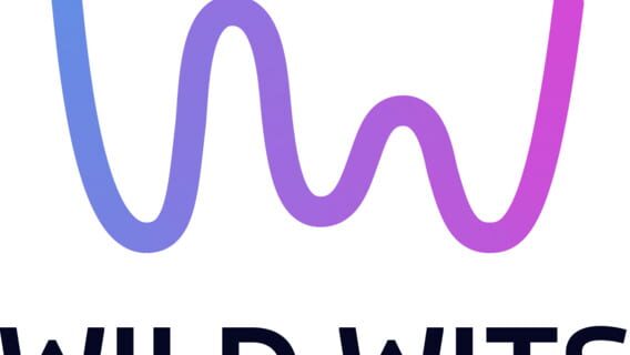 WILD WITS GAMES logo