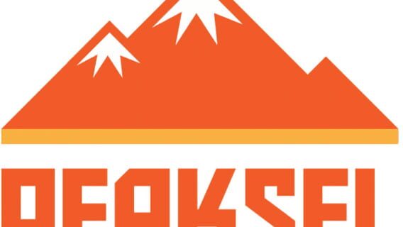 Peaksel LLC logo