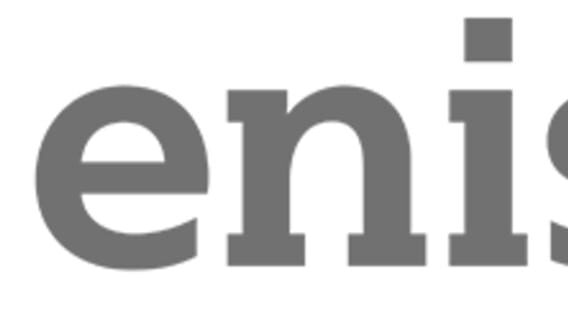 Enish logo