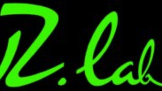 VZlab logo