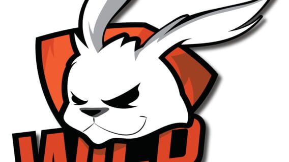 Wild Devs logo