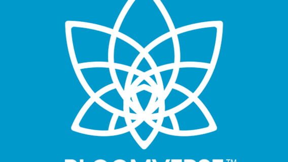BLOOMVERSE logo