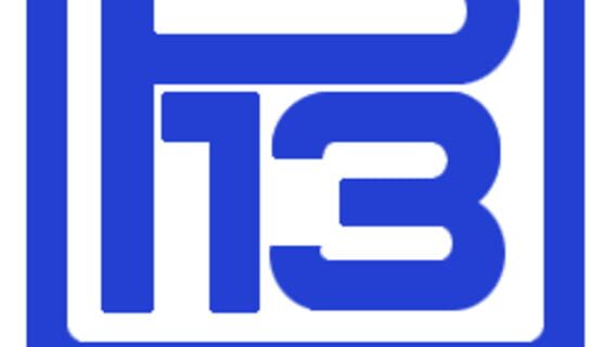 Pelikan13 logo