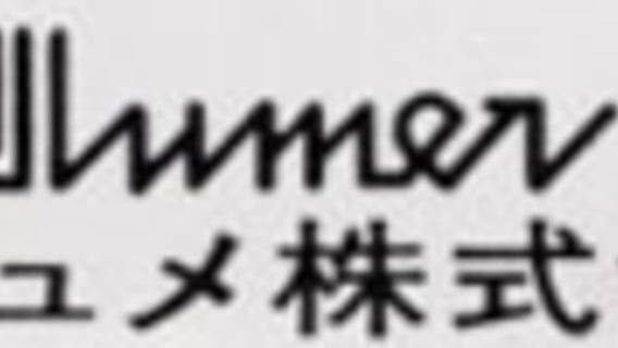 Allumer, Ltd. logo
