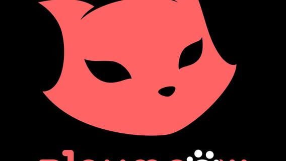 PlayMeow Games logo