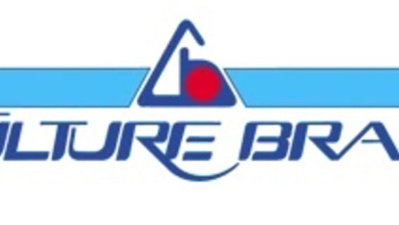 Culture Brain logo