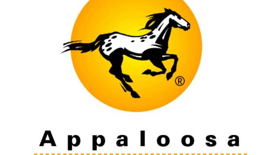 Appaloosa Interactive logo