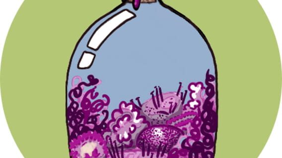 Purple Moss Collectors logo