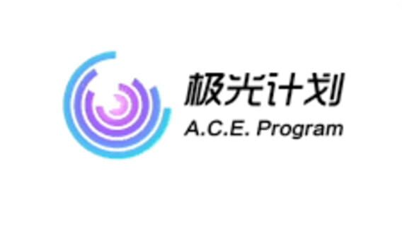 A.C.E. Program logo