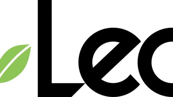 Leaf logo