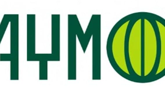 Playmore logo